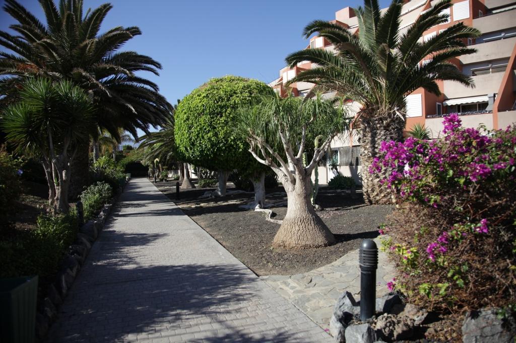 Apartamento el Cano Radazul Exterior foto